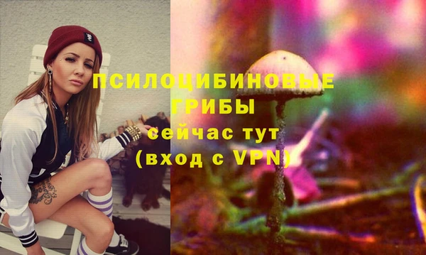 таблы Алексеевка